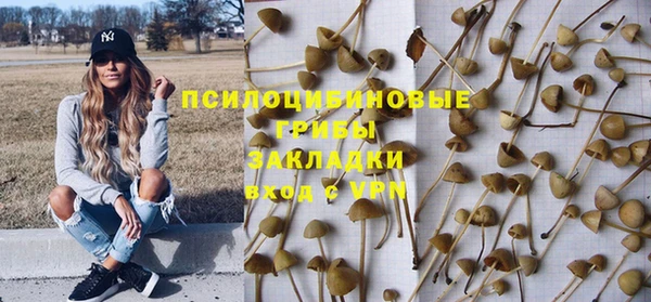 бошки Надым
