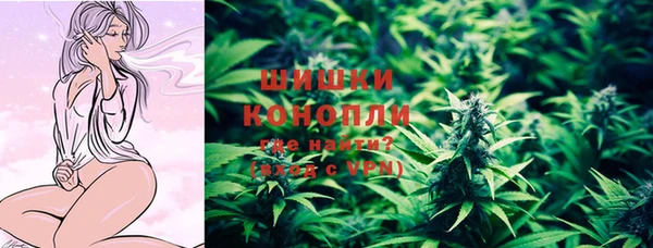 бошки Надым